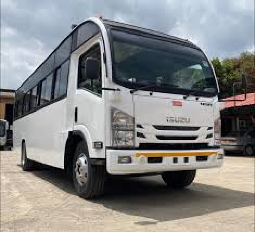 NQR81M BUS